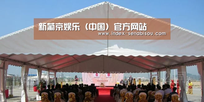 案例标题三