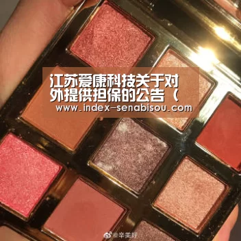 江苏爱康科技关于对外提供担保的公告(系列):新葡京(图2) 新葡京