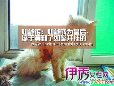 新葡京
