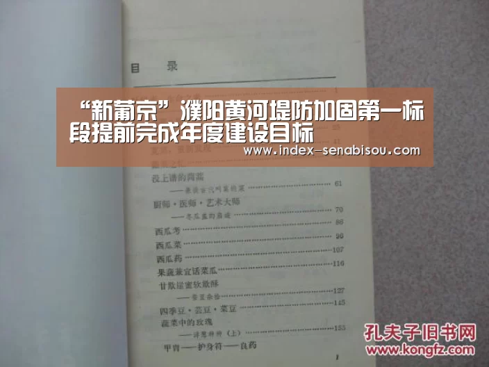 “新葡京”濮阳黄河堤防加固第一标段提前完成年度建设目标(图4) 新葡京