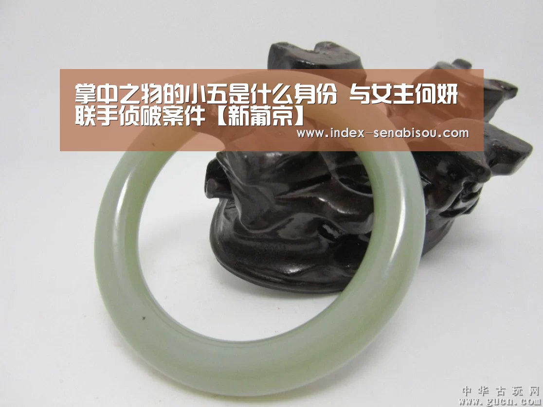 掌中之物的小五是什么身份 与女主何妍联手侦破案件【新葡京】(图3) 新葡京