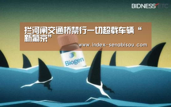 拦河闸交通桥禁行一切超载车辆“新葡京”(图4) 新葡京