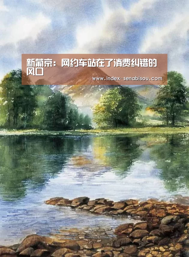 新葡京:网约车站在了消费纠错的风口(图2) 新葡京