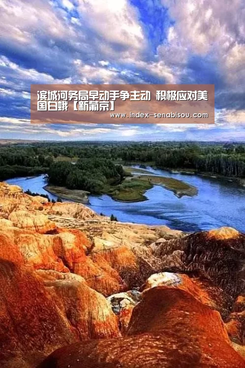 滨城河务局早动手争主动 积极应对美国白蛾【新葡京】(图2) 新葡京