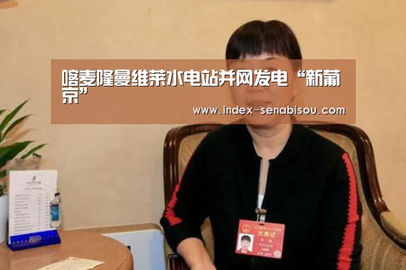 喀麦隆曼维莱水电站并网发电“新葡京”(图1) 新葡京