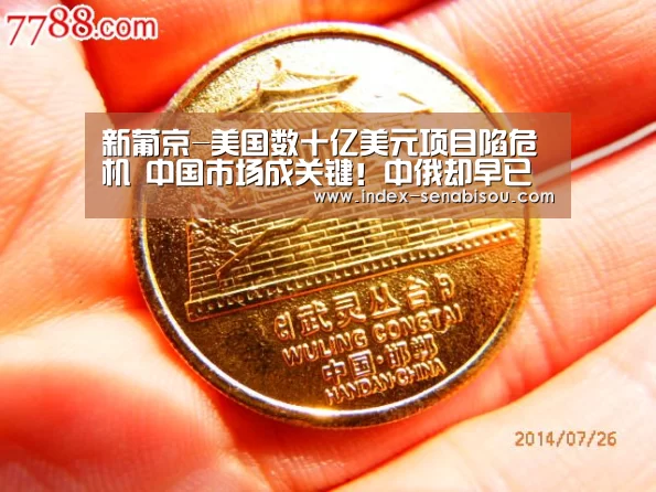 新葡京-美国数十亿美元项目陷危机 中国市场成关键!中俄却早已达成合作(图1) 新葡京