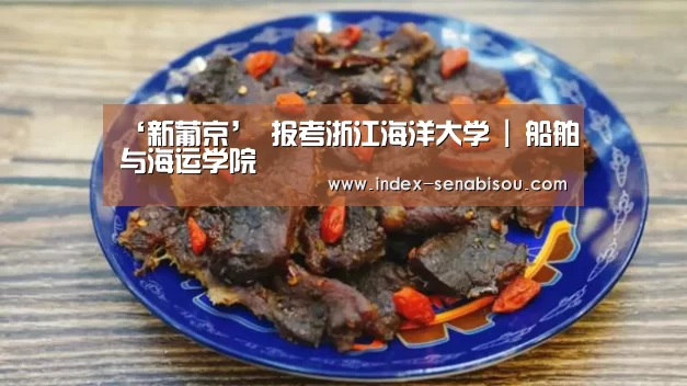 ‘新葡京’
报考浙江海洋大学 | 船舶与海运学院(图1) 新葡京