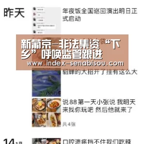 新葡京-非法集资“下乡”呼唤监管跟进(图2) 新葡京