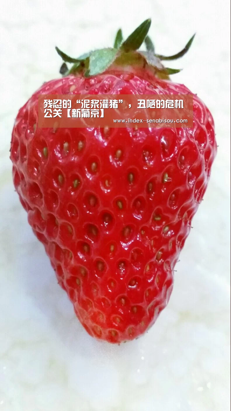残忍的“泥浆灌猪”,丑陋的危机公关【新葡京】(图3) 新葡京