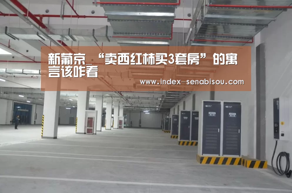 新葡京_“卖西红柿买3套房”的寓言该咋看(图2) 新葡京