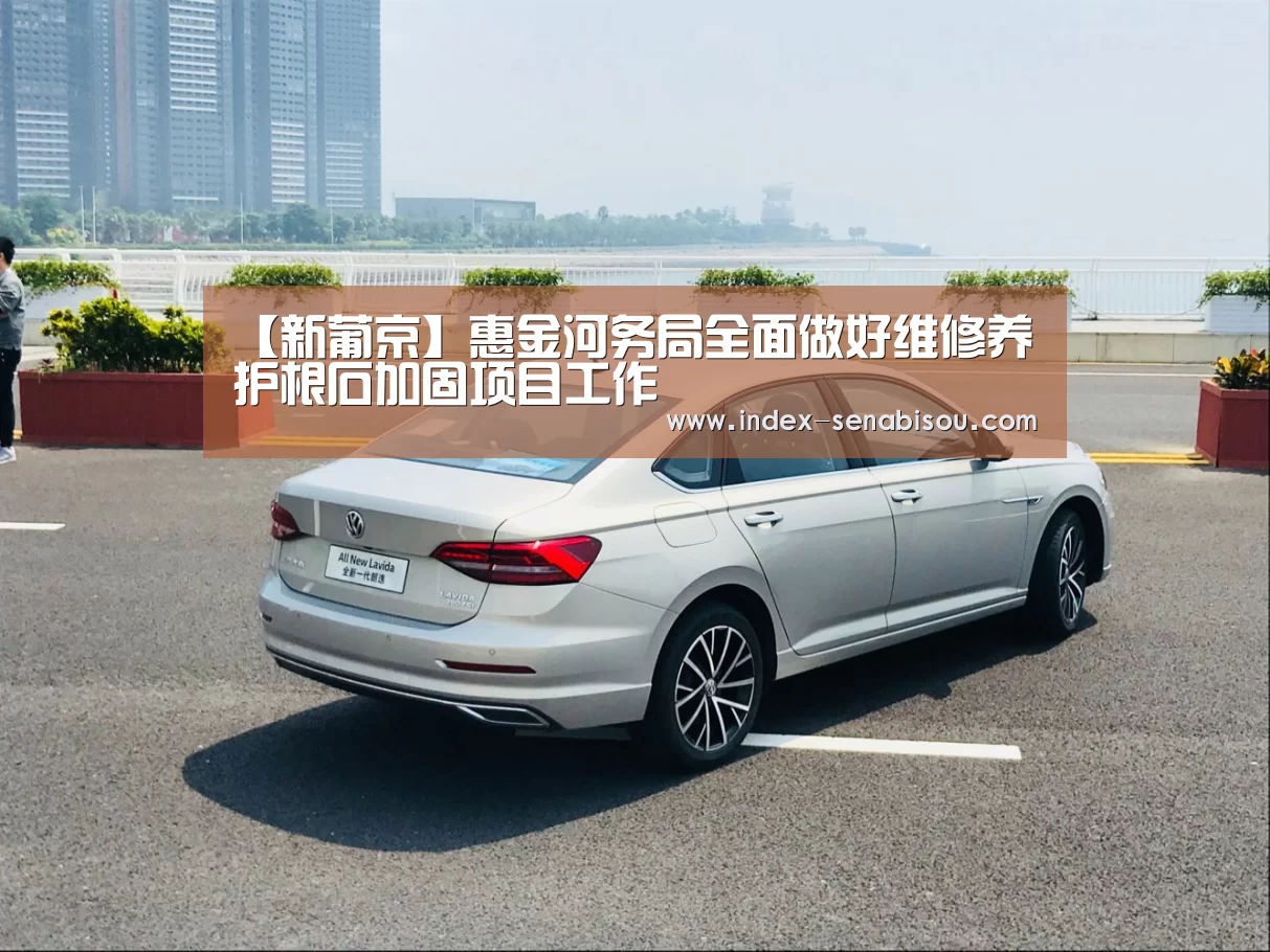 【新葡京】惠金河务局全面做好维修养护根石加固项目工作(图1) 新葡京
