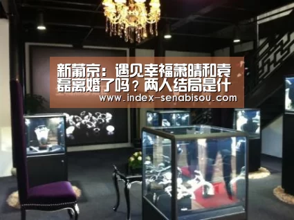 新葡京:遇见幸福萧晴和袁磊离婚了吗?两人结局是什么?(图3) 新葡京