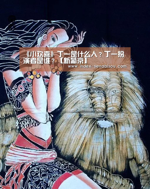 《小欢喜》丁一是什么人?丁一扮演者是谁?【新葡京】(图1) 新葡京